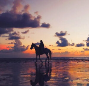 Equitation au coucher du soleil