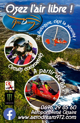 Carte mini recto Aerodream - Survols ULM en Martinique