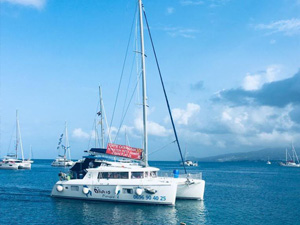 Plongée sous-marine en Martinique avec Aliotis