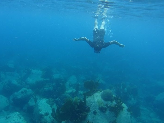 Sortie snorkeling en Martinique avec Aliotis Plongée