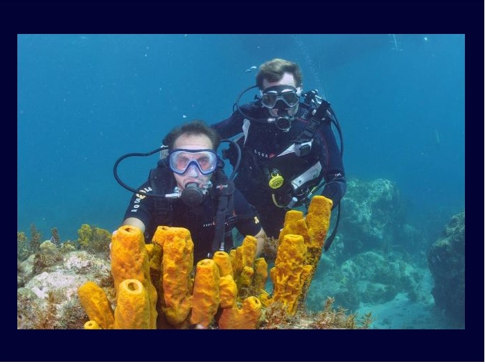 Découverte des récifs coralliens martiniquais avec Aliotis Plongée