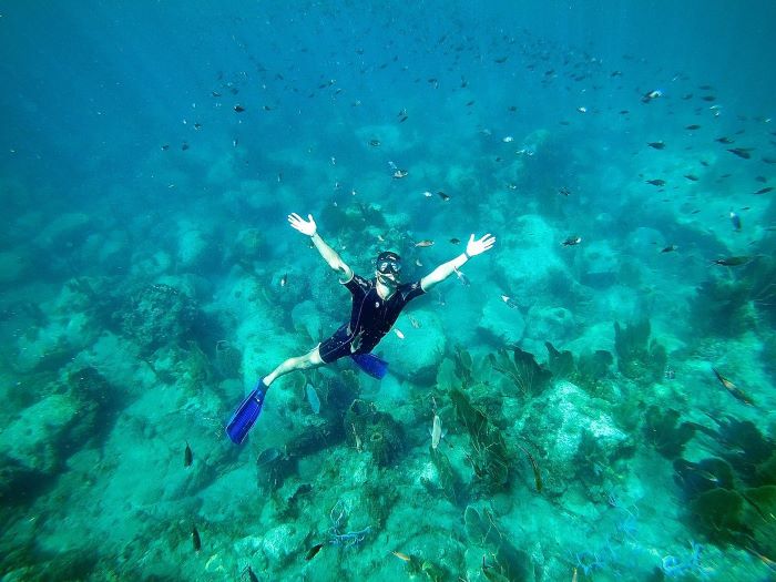 Exploration des fonds marins en Martinique avec Aliotis Plongée