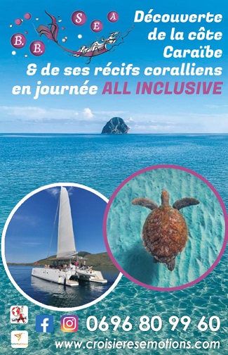 Carte mini recto Catamaran BB Sea Martinique – Miniature
