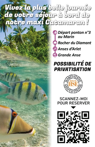 Carte mini verso Catamaran BB Sea Martinique – Miniature