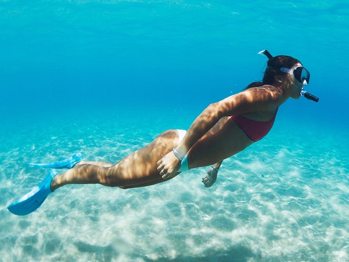 Coraux et poissons tropicaux observés lors d’une sortie en catamaran Diamond Rock en Martinique