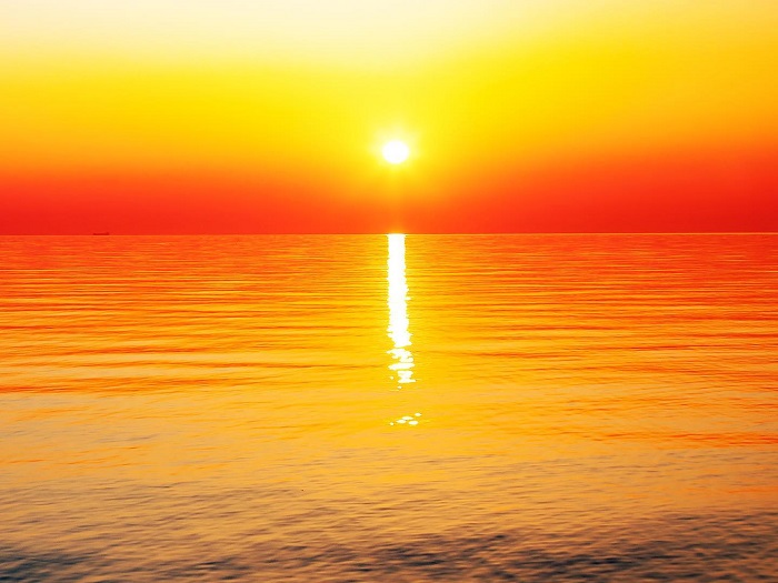 Observation de dauphins en mer avec le catamaran Diamond Rock en Martinique