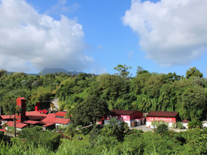 Visite agro-touristique de la distillerie Rhum JM en Martinique