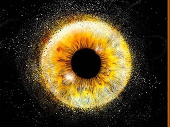 Détail de l’iris avec éclairage spécialisé Eyeland en Martinique