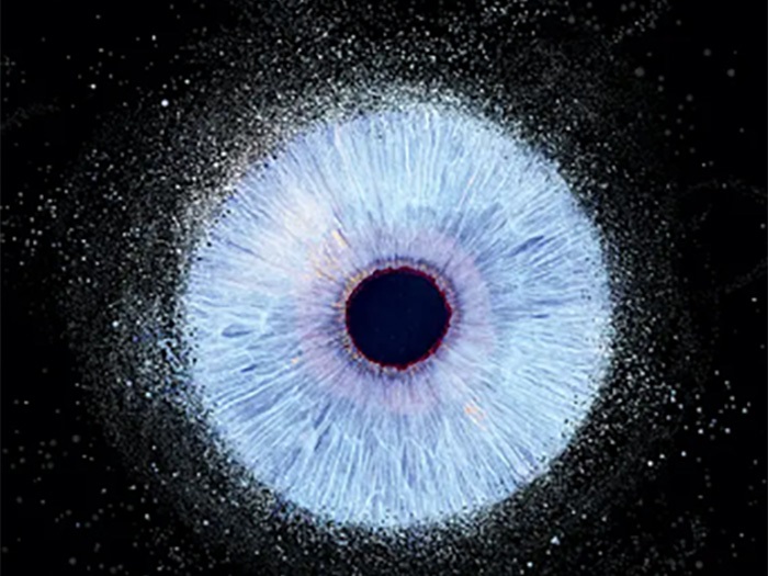 Gros plan artistique de l’iris humain photographié en Martinique