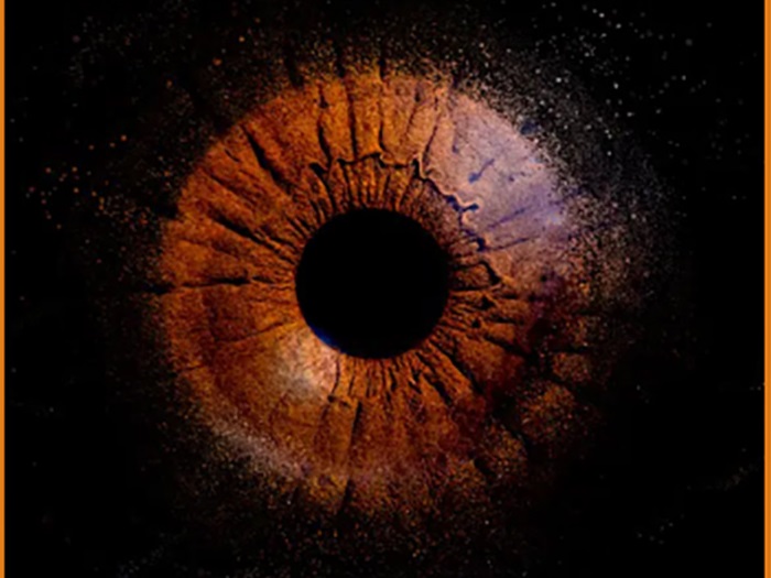 Éclairage technique utilisé pour la photographie de l’iris en Martinique