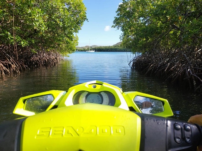 Découverte des étangs et mangroves en jet ski avec Jet A Lo en Martinique