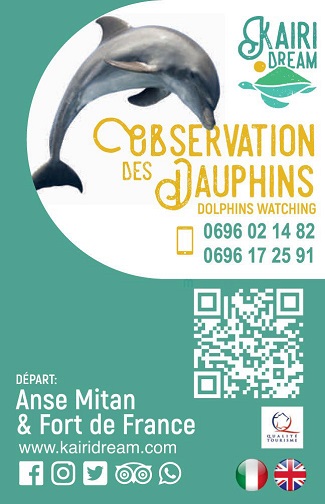 Carte mini recto Kairi Dream – Sorties dauphins en bateau Martinique