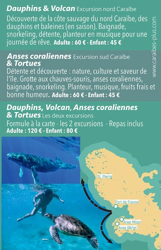 Carte mini verso Kairi Dream – Sorties dauphins en bateau Martinique