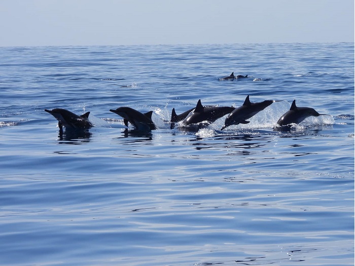 Bateau de Kairi Dream sur eaux turquoises en Martinique
