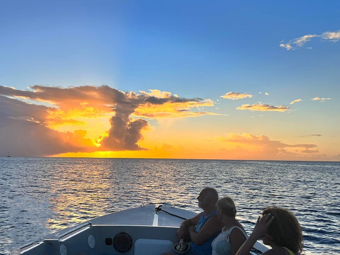 Dauphin sautant près du bateau Kairi Dream en Martinique