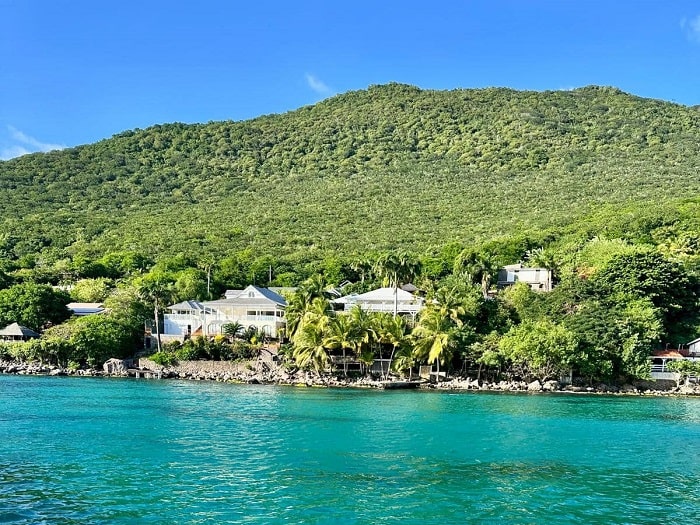 Groupe de dauphins observés lors d’une sortie Kairi Dream en Martinique
