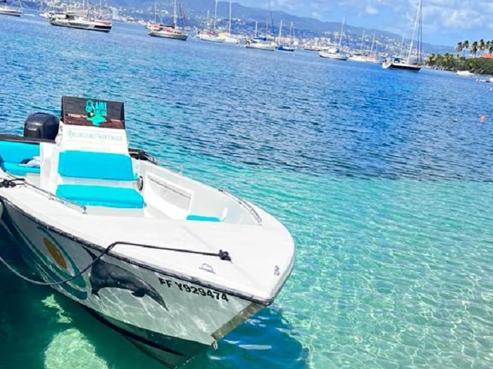 Passagers observant des dauphins avec Kairi Dream en Martinique