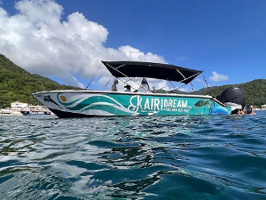 Sorties dauphins en bateau avec Kairi Dream en Martinique – Activités Mer