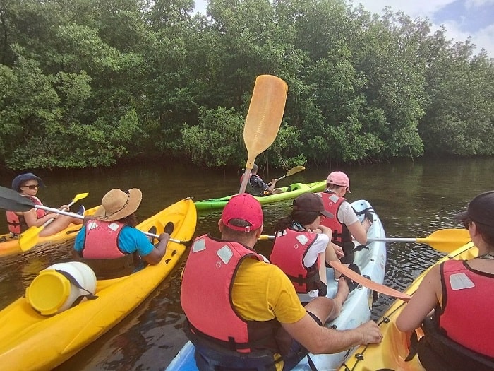 Groupe de participants en kayak dans la mangrove de Ducos avec Kayak Aventure Mangrove en Martinique