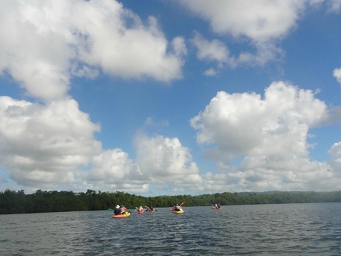 Promenade en kayak en groupe dans la mangrove avec Kayak Aventure Mangrove en Martinique