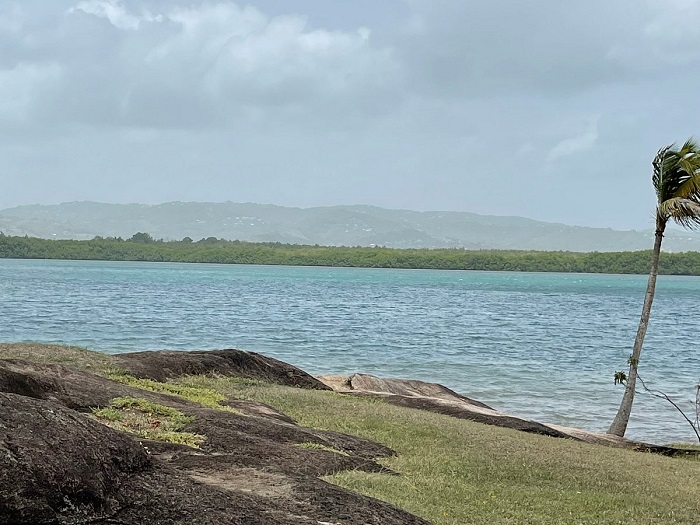 Départ d’une excursion en kayak dans la mangrove depuis Ducos avec Kayak Aventure Mangrove en Martinique