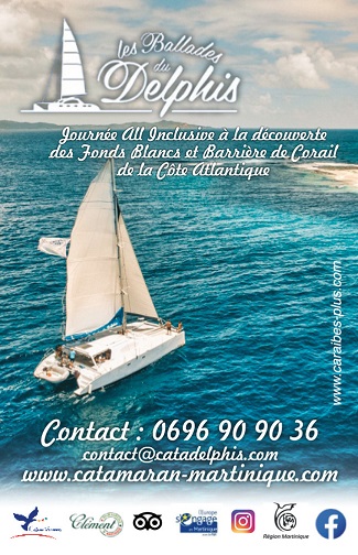 Carte mini recto Les Ballades du Delphis – Catamaran Martinique