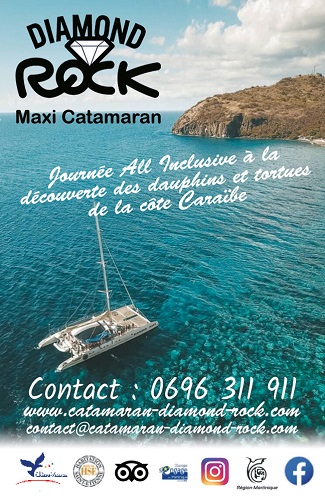Carte mini verso Les Ballades du Delphis – Catamaran Martinique