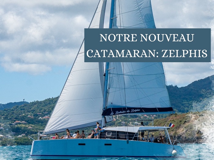 Le nouveau catamaran Zélphis des Ballades du Delphis en navigation en Martinique