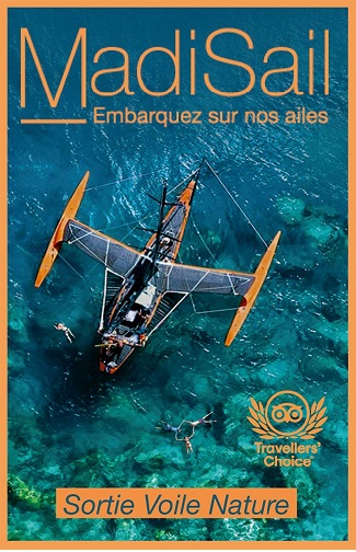 Carte mini recto Madisail - Sorties en mer en Martinique