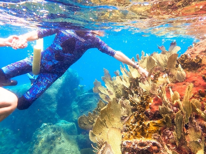 Snorkeling et exploration des fonds marins en Martinique avec Madisail