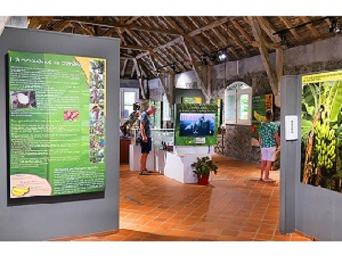 Salle d exposition du Musee de la Banane en Martinique