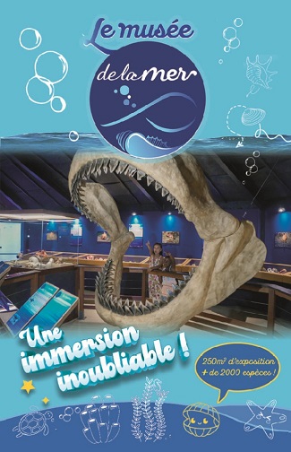 Carte mini recto Musée de la Mer Martinique