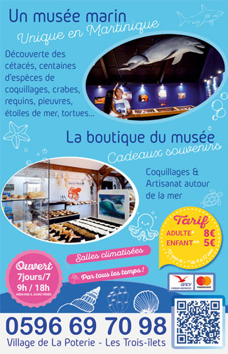 Carte mini verso Musée de la Mer Martinique