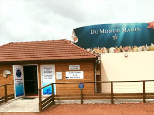 Musée de la Mer en Martinique – Découverte culturelle