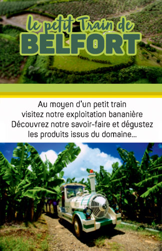 Carte mini recto Petit Train de Belfort – Visite plantation de bananes Martinique