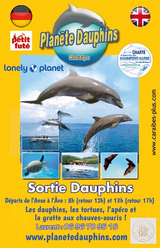 Carte mini recto Planète Dauphins – Sorties dauphins en bateau Martinique