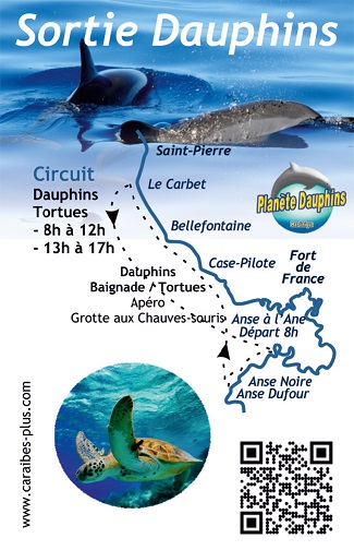 Carte mini verso Planète Dauphins – Excursions dauphins Martinique