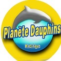 Logo Planète Dauphins Martinique