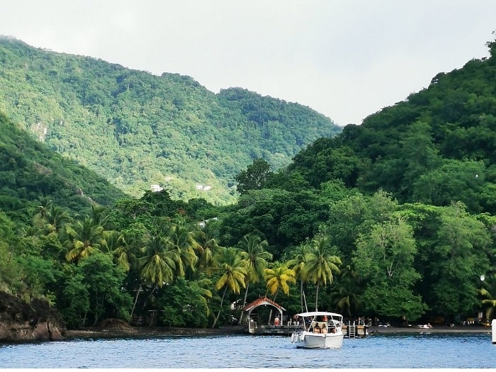 Paysage tropical de la côte martiniquaise vu depuis la mer avec Planète Dauphins