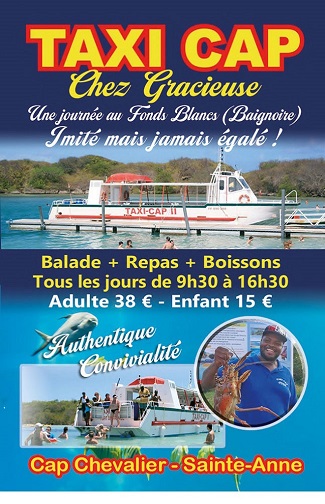 Carte mini recto Taxi Cap – Sorties bateau Martinique