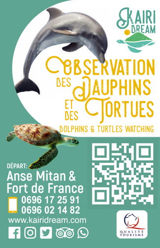 Carte mini recto Kairi Dream – Sorties dauphins en bateau Martinique