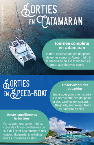 Carte mini verso Kairi Dream – Sorties dauphins en bateau Martinique
