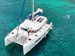 Sorties dauphins en bateau avec Kairi Dream en Martinique – Activités Mer