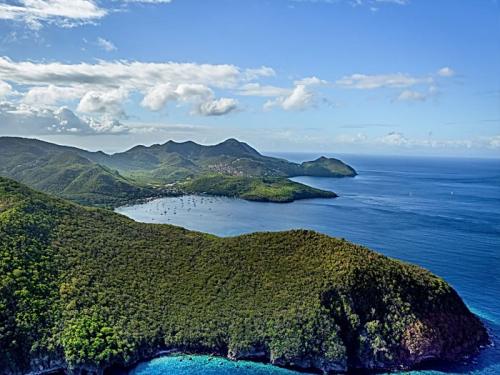 aerodream-survol-cote-verdoyante-martinique-activites-8